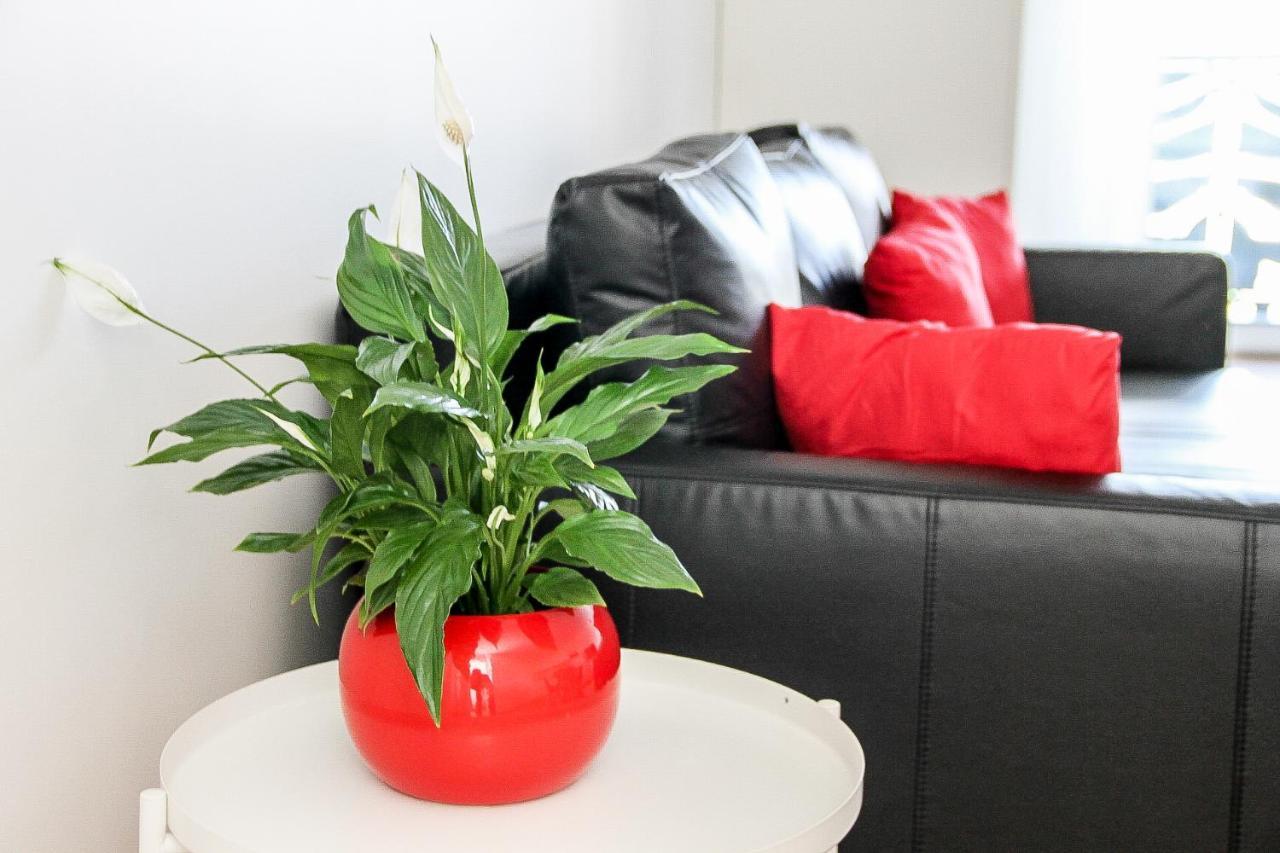 勒蒂亚莱Grand T1 Moderne Jardin Pres De Cdg公寓 外观 照片